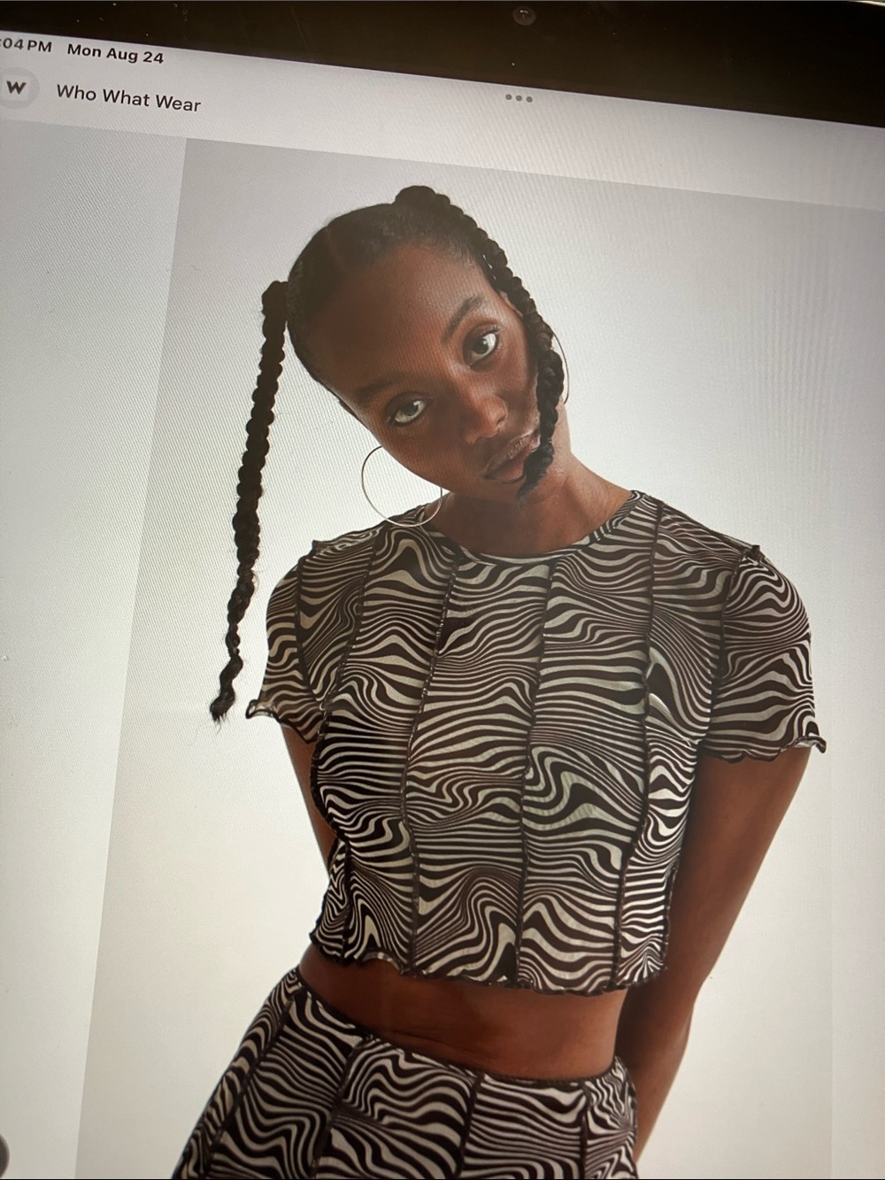 Divided brown & cream swirl pattern sheer mesh crop top